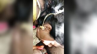 Tamil audio my new wife hot big ass nice blowjob