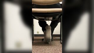 Under the Chair Feet (ignore)