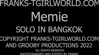 FRANK'S TGIRL WORLD: Another Shoot With Meme!