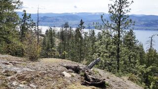 Quick Stop On My Hike -Kettle Valley Rail Trail (Naramata, BC) #1