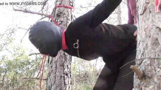 Tied up to a tree outdoor on sexy clothes, wearing pantyhose and high ankle boots heels, rough fuck