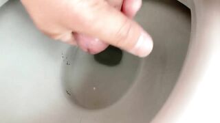 Hairy guys like to masturbate in dirty toilets