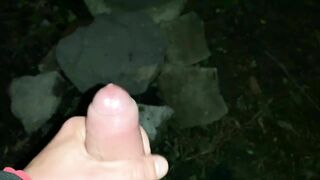 Big dick night jerk off - Cumshot on stones in the park POV