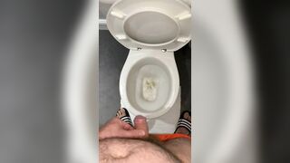 Toilet piss