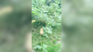 Pam & Ed Dirtiest Devon Amateurs Public outside outdoors dogging fuck doggy style woods flashing massive natural tits