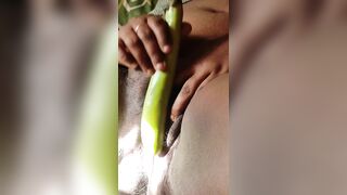 Horney mallu girl masturbating. Solo satisfying alone in bed room with Brinjal