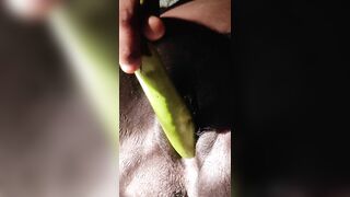 Horney mallu girl masturbating. Solo satisfying alone in bed room with Brinjal