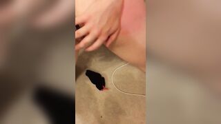 Tied Teen Cheerleader get Fucked with Buttplug in