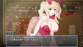 H Game 魔王討伐か