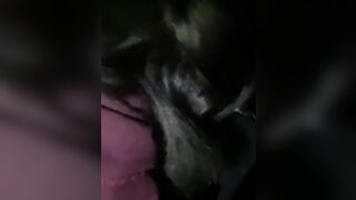 LOUD SLURPING BLOWJOB IN THE CAR ( Dark ) @IControlThroats Twitter