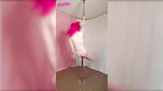 Pink Fishnet Pole Dance Strip Tease by SheyTheGay