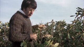 Cheating scene 21- Straw Dogs. 1971